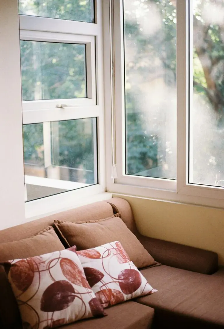 Living room window