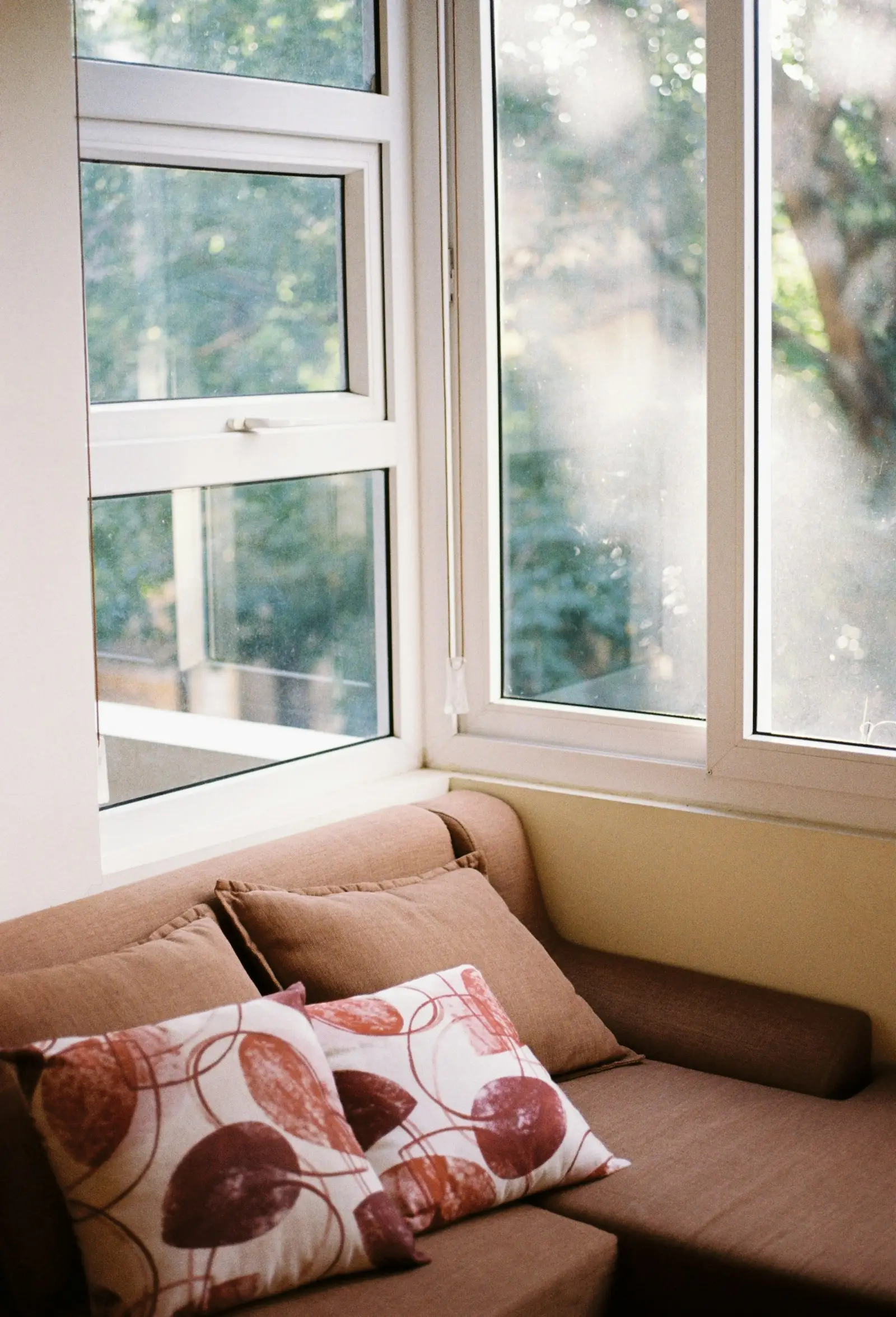 Living room window